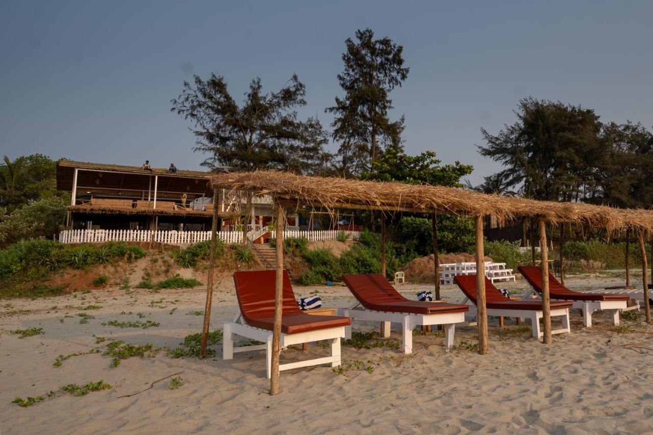 Woodpegger By The Beach,